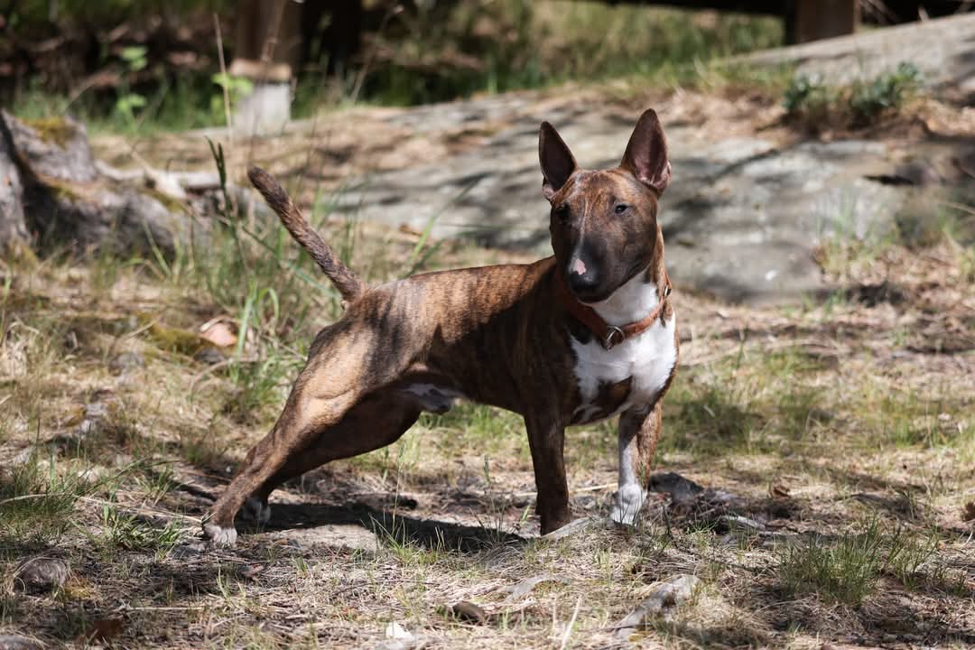 Noah 2 år. Foto: Thommy Johansson
